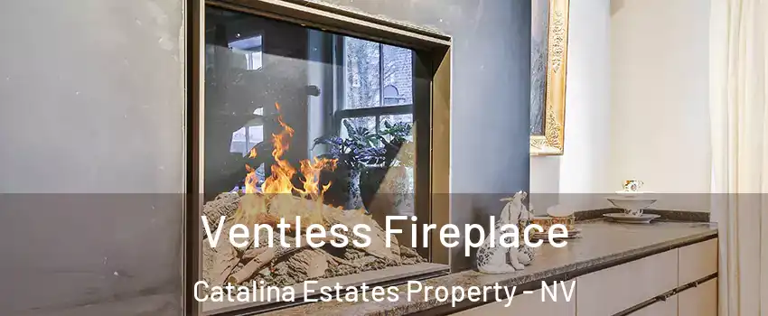 Ventless Fireplace Catalina Estates Property - NV