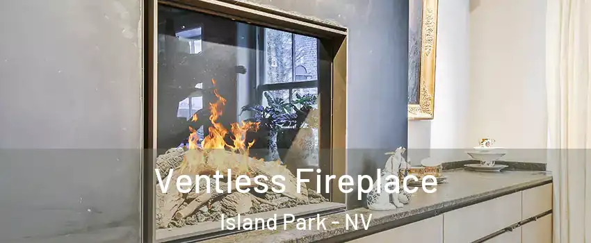 Ventless Fireplace Island Park - NV