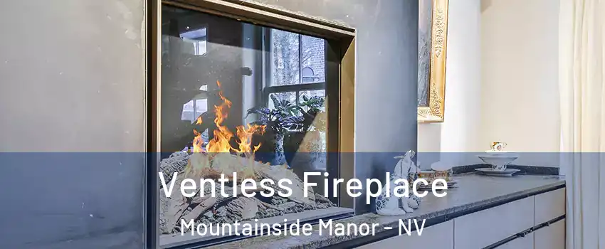 Ventless Fireplace Mountainside Manor - NV