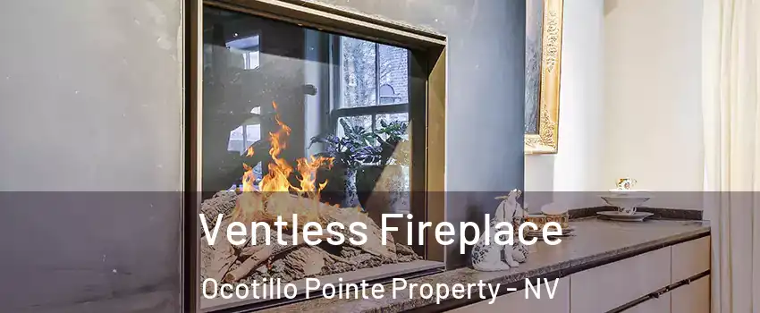 Ventless Fireplace Ocotillo Pointe Property - NV