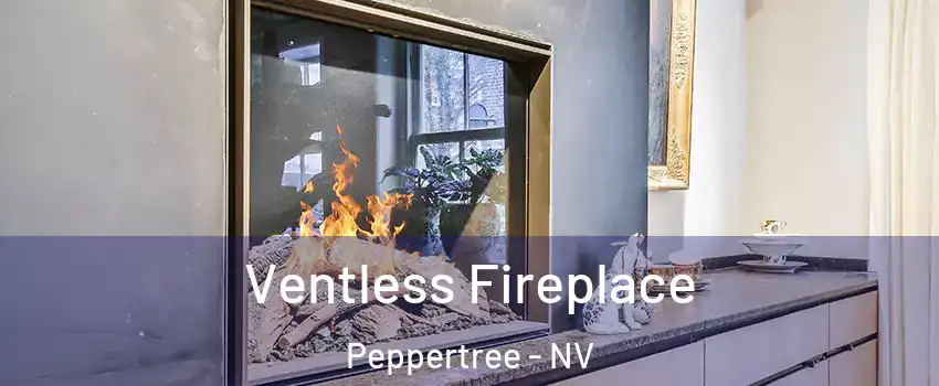Ventless Fireplace Peppertree - NV