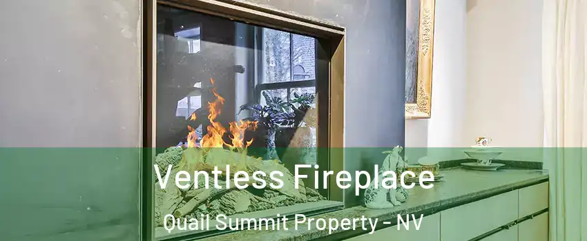 Ventless Fireplace Quail Summit Property - NV