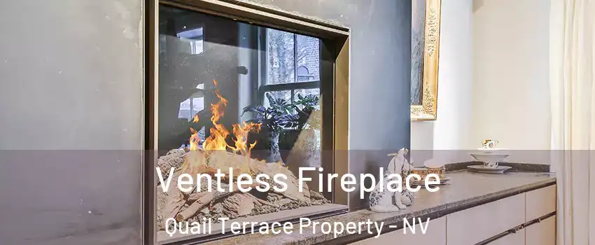 Ventless Fireplace Quail Terrace Property - NV