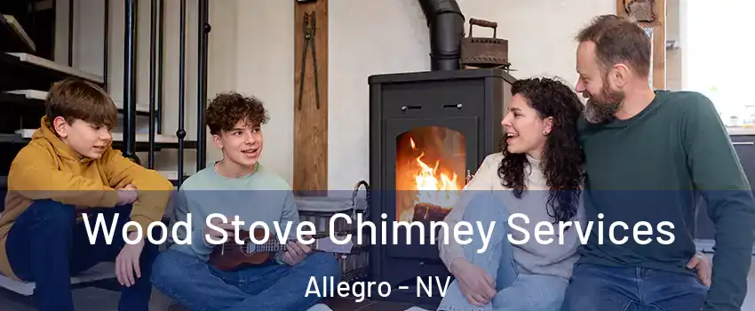 Wood Stove Chimney Services Allegro - NV