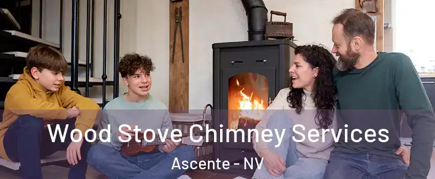 Wood Stove Chimney Services Ascente - NV