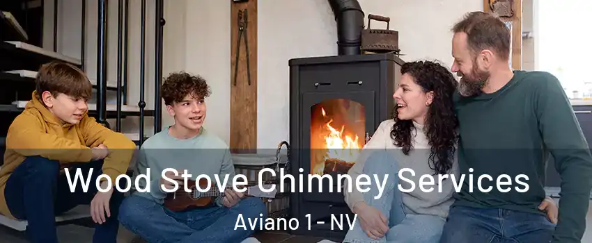 Wood Stove Chimney Services Aviano 1 - NV