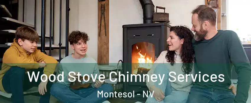 Wood Stove Chimney Services Montesol - NV