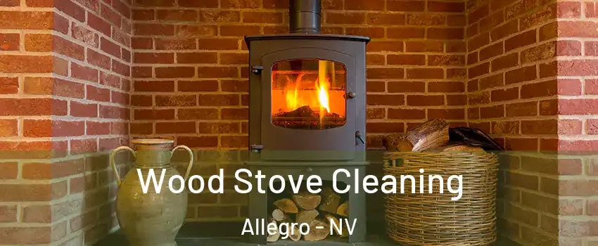 Wood Stove Cleaning Allegro - NV