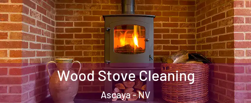 Wood Stove Cleaning Ascaya - NV