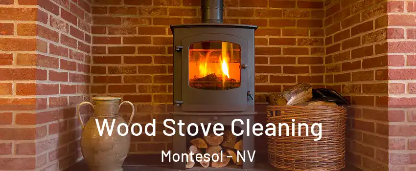 Wood Stove Cleaning Montesol - NV