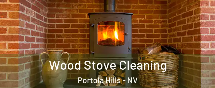 Wood Stove Cleaning Portola Hills - NV