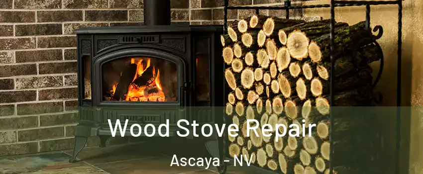 Wood Stove Repair Ascaya - NV
