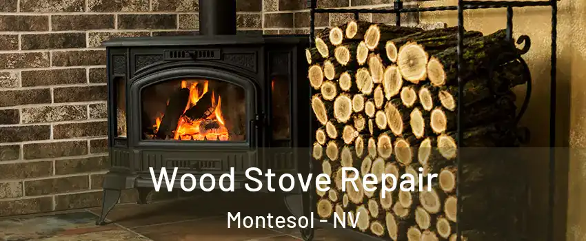 Wood Stove Repair Montesol - NV