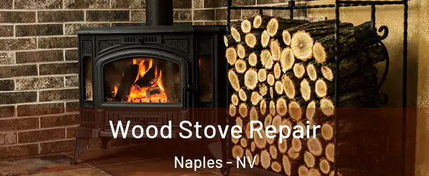 Wood Stove Repair Naples - NV