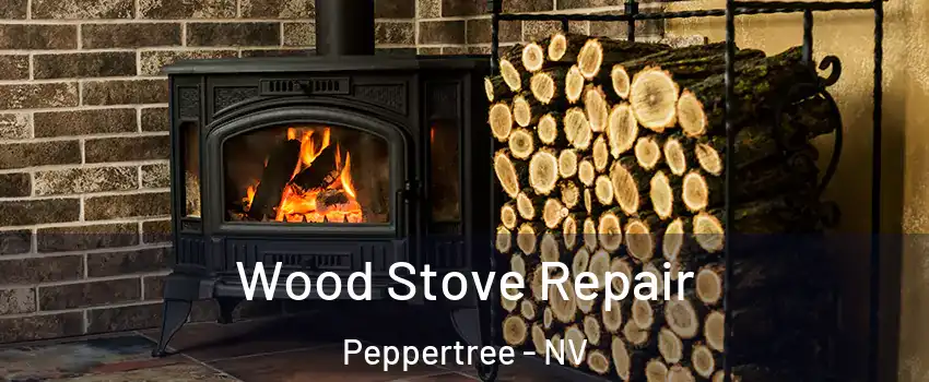 Wood Stove Repair Peppertree - NV
